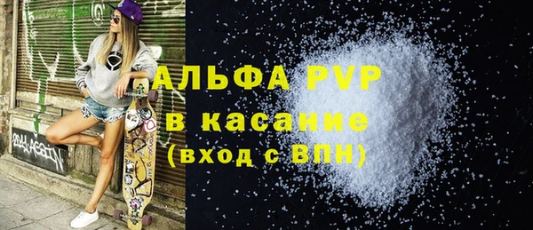 амф Вяземский