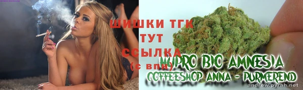 ПСИЛОЦИБИНОВЫЕ ГРИБЫ Вязьма