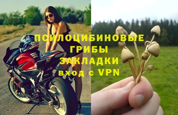 ПСИЛОЦИБИНОВЫЕ ГРИБЫ Вязьма