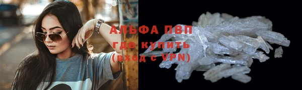 амф Вяземский