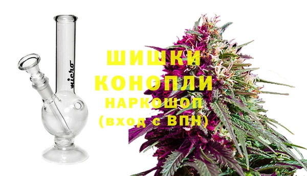 амф Вяземский