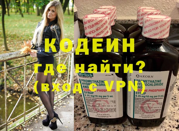 амф Вяземский