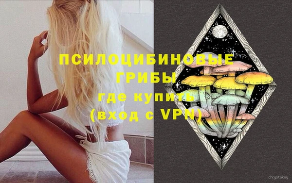 ПСИЛОЦИБИНОВЫЕ ГРИБЫ Вязьма