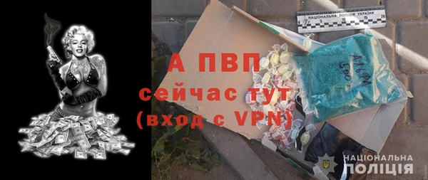 амф Вяземский