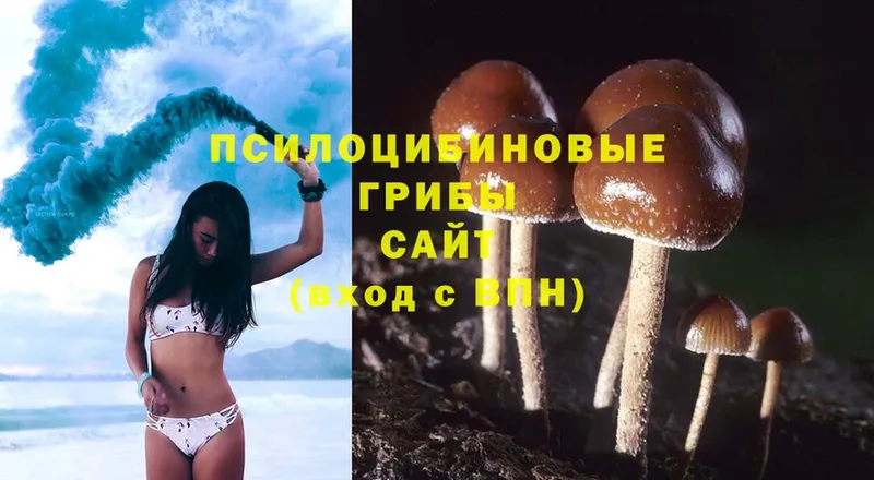 Галлюциногенные грибы Magic Shrooms  что такое наркотик  кракен онион  Десногорск 