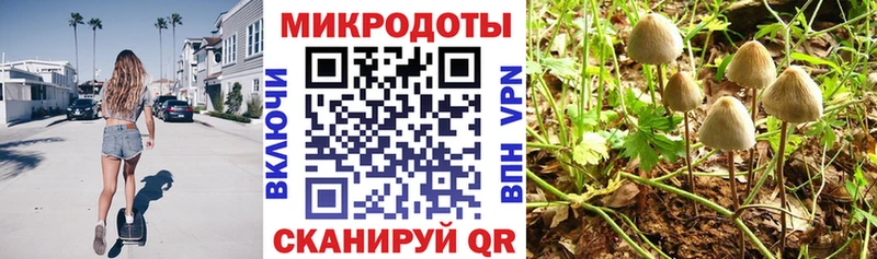 KRAKEN tor  продажа наркотиков  Десногорск  Псилоцибиновые грибы мицелий 