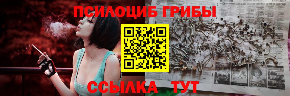 Галлюциногенные грибы GOLDEN TEACHER  Десногорск 